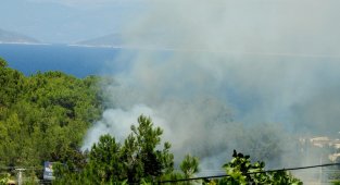 Çeşme'de bir gün arayla çıkan iki yangın kısa sürede söndürüldü