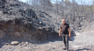 CHP'li Serter’den Hükümete yangın tepkisi: “TBMM acil toplanmalı”