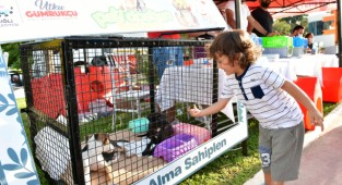 Çiğli’de 3. Pati Dostları Festivaline büyük ilgi 