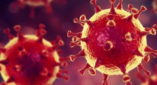 DSÖ'den Delta varyantı açıklaması