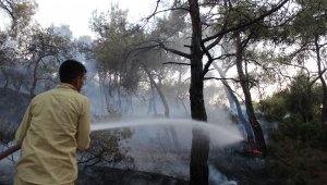 Foça'daki yangın büyük ölçüde kontrol altında