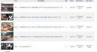 İnternet ilanıyla kurbanlık satışı