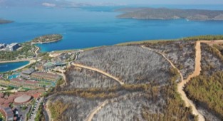 İşte Bodrum'daki yangının acı bilançosu! Tamamen kül oldu