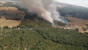 İzmir'de korkutan orman yangını!