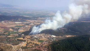 İzmir'de ormanlık alanda yangın