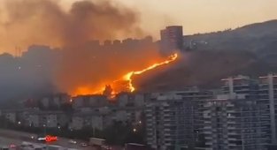 İzmir'de otluk alanlarda çıkan yangınlar söndürüldü