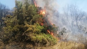 İzmir'deki yangında korku dolu anlar
