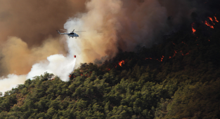 Marmaris'teki orman yangının nedeni belli oldu!