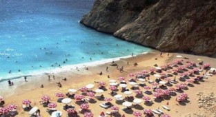 Prof. Dr. Ceyhan’dan korkutan vaka artışı uyarısı