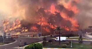 Yerleşim yerlerine sıçradı... Ormanlık alanda büyük yangın! 