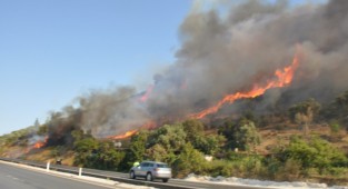 5 ilçede yangına müdahale... Muğla yanıyor!