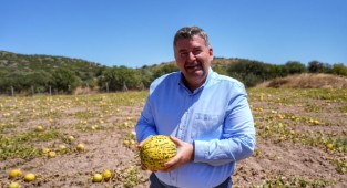 Başkan Oran: 'Çeşme kavunu yeniden sahnede!'