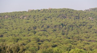 Başkan Soyer: 'Doğamızı korumak için her alanda mücadele edeceğiz'