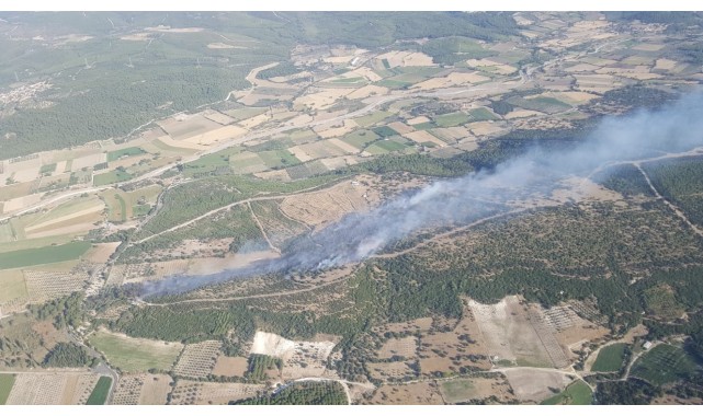 Bergama'da ağaçlandırma sahasında çıkan yangın kontrol altında