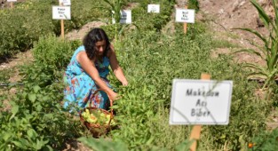 Bornova’da yerel üreticiye destek