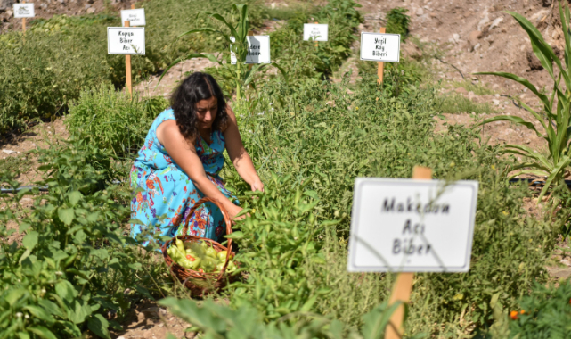 Bornova’da yerel üreticiye destek
