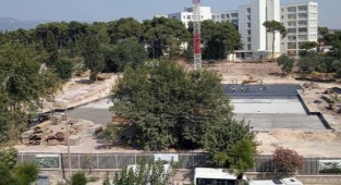 CHP'li Bayır sordu: Buca'daki ağaç katliamı Meclis gündeminde!