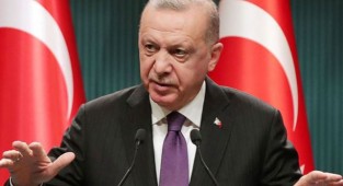 Erdoğan'dan yangında ölen hayvanlarla ilgili tepki çeken açıklama!