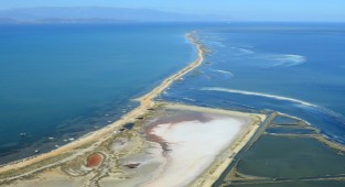 Homa Dalyanı'nı kurtaran karar!