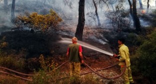 İzmir Büyükşehir Belediyesi’nden orman seferberliği