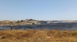 İzmir İtfaiyesi 28 orman yangınını büyümeden söndürdü