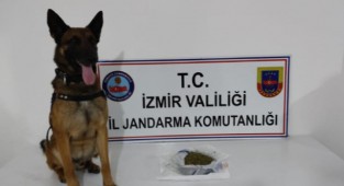 Jandarma'dan uyuşturucu operasyonu