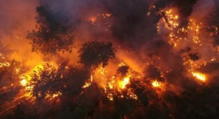 Köyceğiz'de alevler yeniden yükseliyor!