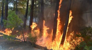 Marmaris’te yanan yerlere maden ruhsatı verilmiş!