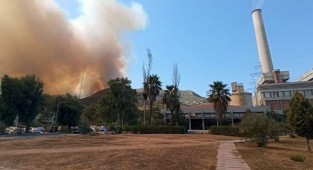 Milas'ta yangın termik santrale ulaştı... Belediye'den açıklama!