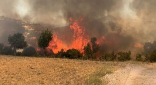 Muğla'dan acı haber... 1 can kaybı daha!
