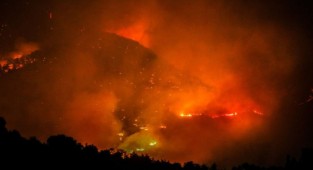 Orman yangınlarında 6'ncı gün: İşte son durum!