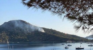 Ormanlık alanda çıkan torpiller çocukların çıktı