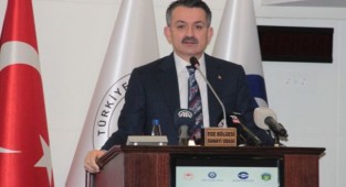 Pakdemirli'den orman yangınlarına ilişkin açıklama