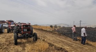 Şahin trafoya çarptı, yangın ormana sıçramadan söndürüldü