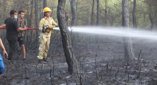 Sarnıç yangını büyümeden söndürüldü!