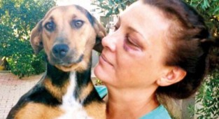 Sokak hayvanlarını besleyen kadın darp edildi