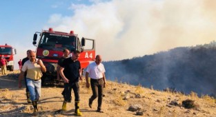 Soyer’den yangın sonrası ‘ağaçlandırma’ açıklaması