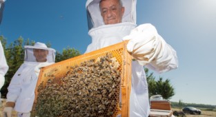 Tahtalı Baraj Havzası'ndaki 60 kovanda bal sağımı yapıldı