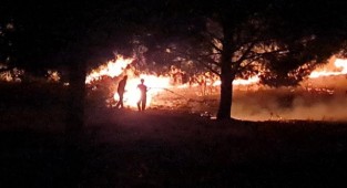 Tire'de yangın paniği!