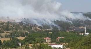 Uşak yanıyor... Arazide çıkan yangın ormana sıçradı!