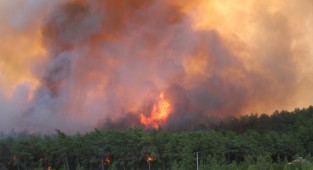 Yanan bölgeler uydudan böyle görüntülendi