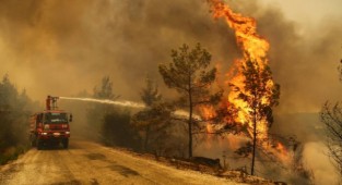 Yangınlarla mücadelede 7'nci gün! 