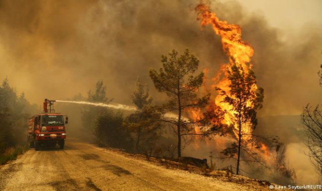 Yangınlarla mücadelede 7'nci gün!