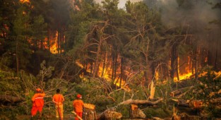 Yangınlarla mücadelede 8'inci gün! 