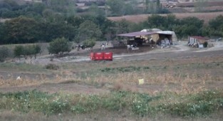 8 köyde ‘mavi dil’ karantinası!