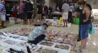 Av yasağı bitti! Fiyatlar yarıya düştü