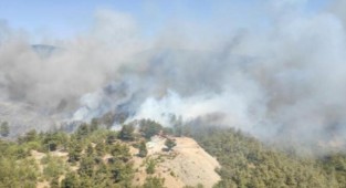 Bodrum ve Milas'ta yangın 