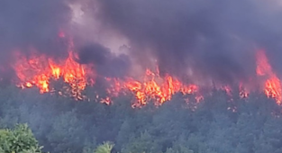 Çanakkale'de kokutan yangın