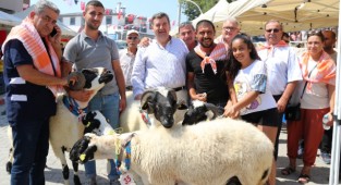 Çeşme'de festival zamanı!