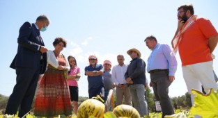 Çeşme kavunu tescillendi